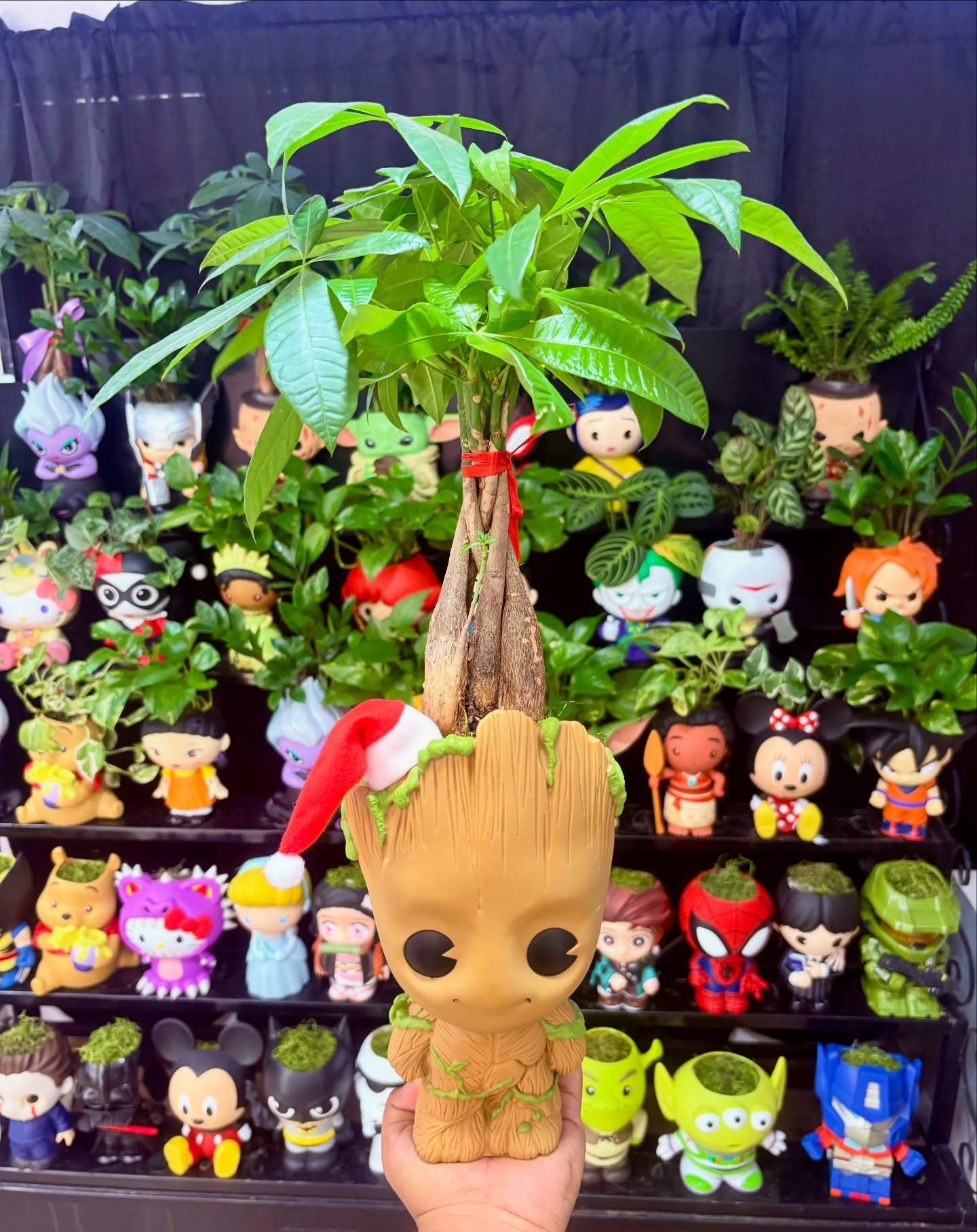 Groot-themed planter with a money tree plant surrounded by character planters and greenery