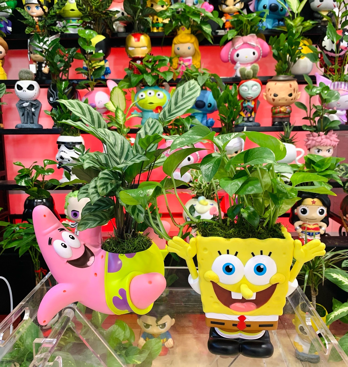 SpongeBob SquarePants and Patrick Star character planters holding small green houseplants, displayed in front of a brightly colored background featuring shelves full of various pop culture figure planters.