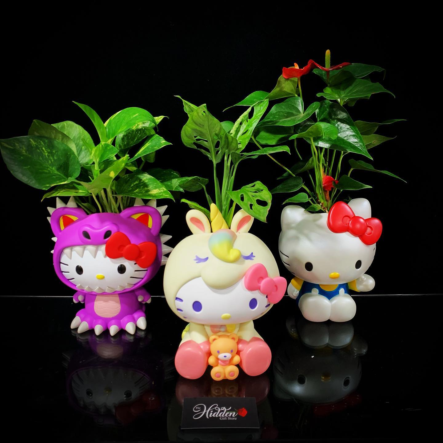 Three Hello Kitty character planters holding green houseplants, featuring designs of Hello Kitty in a purple dinosaur costume, a unicorn costume, and her classic outfit, displayed on a reflective black surface.